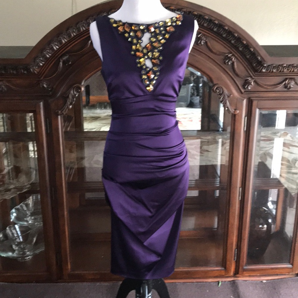 Cashe Powerful purple beauty  dress